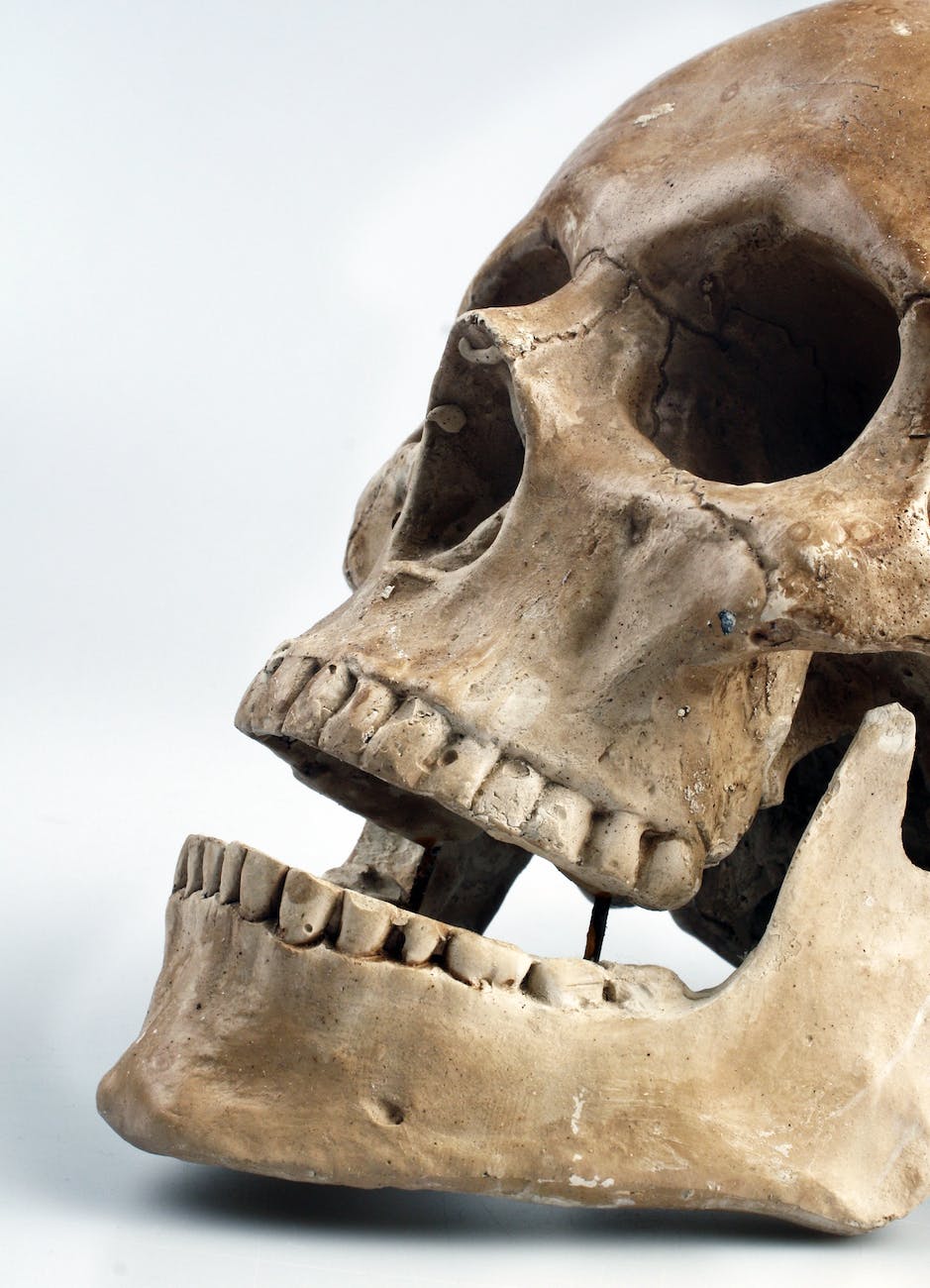 DNA study reveals modern humans emerged from several groups in Africa, not one.